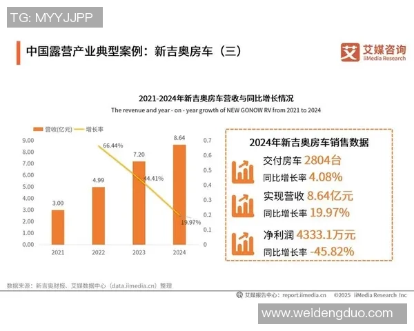 2025年国际足球星级排名前十强分析与未来发展趋势展望