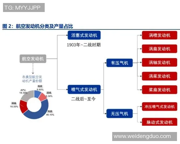 中国职业足球俱乐部球星完整名单与球员发展全景解析