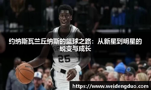 333体育平台