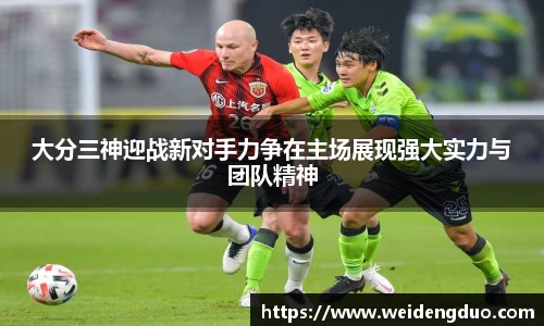 333体育官网