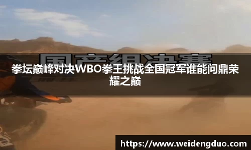 拳坛巅峰对决WBO拳王挑战全国冠军谁能问鼎荣耀之巅