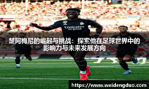 333体育官网