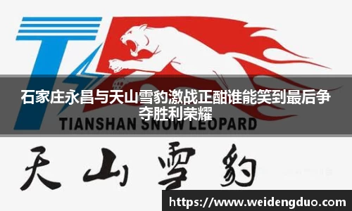 石家庄永昌与天山雪豹激战正酣谁能笑到最后争夺胜利荣耀
