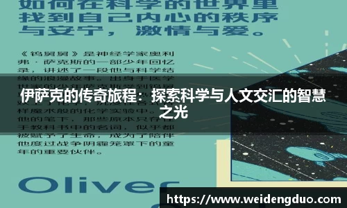 333体育平台