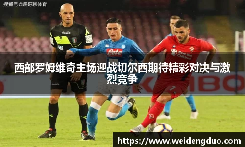 333体育官网